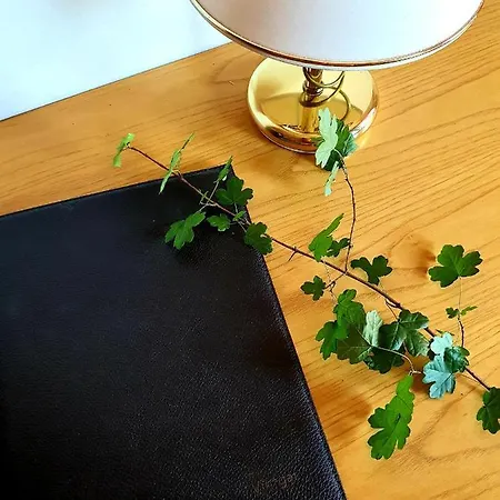 Gostisce Vintgar بيت ضيافة